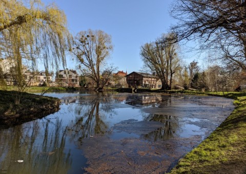 Pobieranie prób wody – Park Oliwski, Gdańsk