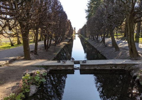 Pobieranie prób wody – Park Oliwski, Gdańsk