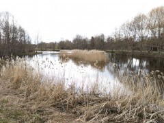 Park Reagana, Gdańsk – pobór prób wody