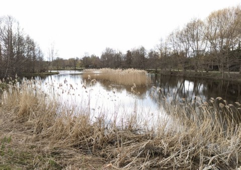 Pobieranie prób wody – Park Reagana, Gdańsk