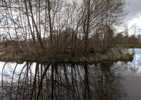 Pobieranie prób wody – Park Reagana, Gdańsk