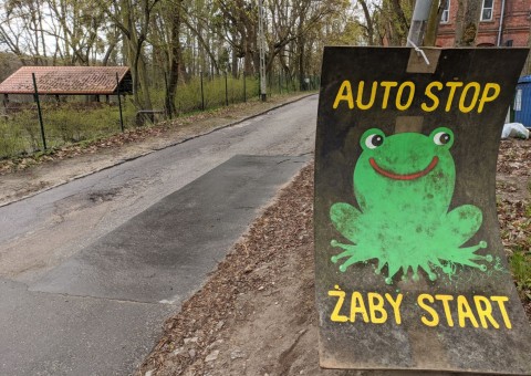 Pobieranie prób wody – Królewska Dolina, Gdańsk