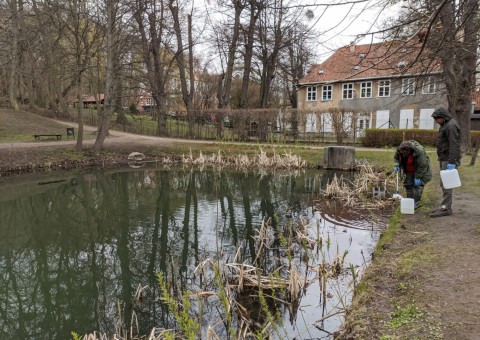 Pobieranie prób wody – Królewska Dolina, Gdańsk