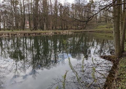 Pobieranie prób wody – Królewska Dolina, Gdańsk