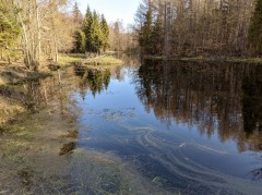 okolice Ząbrska Górnego (gm. Przywidz) – pobór prób wody