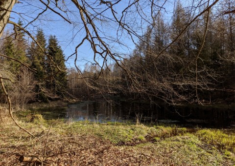 Pobieranie prób wody – okolice Ząbrska Górnego (gm. Przywidz)