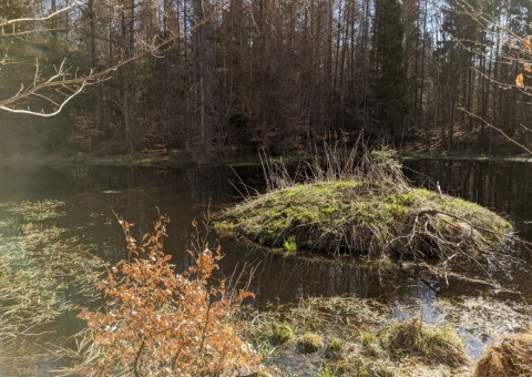 Pobieranie prób wody – okolice Ząbrska Górnego (gm. Przywidz)