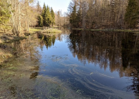 Pobieranie prób wody – okolice Ząbrska Górnego (gm. Przywidz)