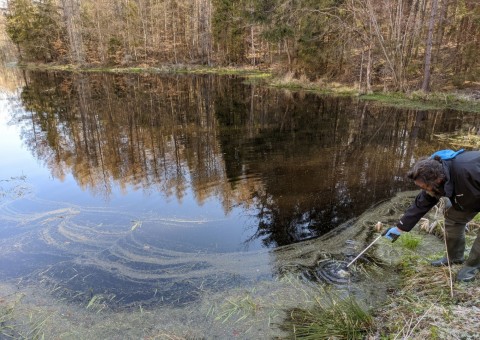 Pobieranie prób wody – okolice Ząbrska Górnego (gm. Przywidz)