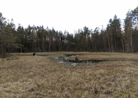 Pobieranie prób wody – okolice Kalisk (gm. Kartuzy)