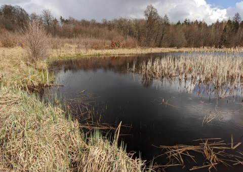 Pobieranie prób wody – okolice Borcza (gm. Somonino)