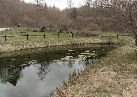 Pobieranie prób wody – okolice Gniewowa TPK