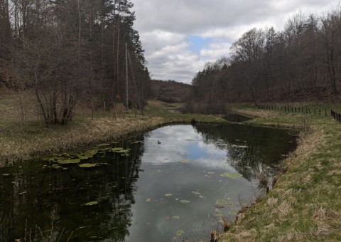 Pobieranie prób wody – okolice Gniewowa TPK