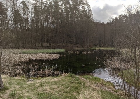 Pobieranie prób wody – okolice Gniewowa TPK