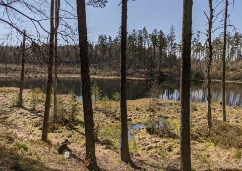 Pobieranie prób wody – okolice Szemuda (gm. Szemud)