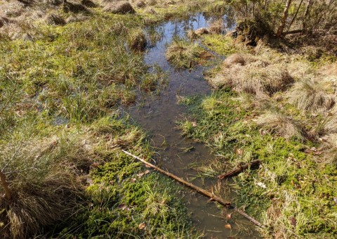 Pobieranie prób wody – okolice Szemuda (gm. Szemud)