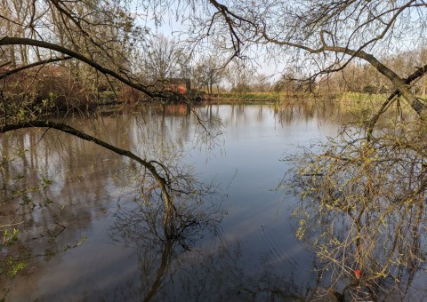 Pobieranie prób wody – Park nad Jasieniem, Łódź