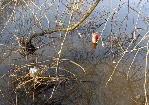 Pobieranie prób wody – Park nad Jasieniem, Łódź