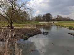 Staw Wasiaka, Łódź – pobór prób wody