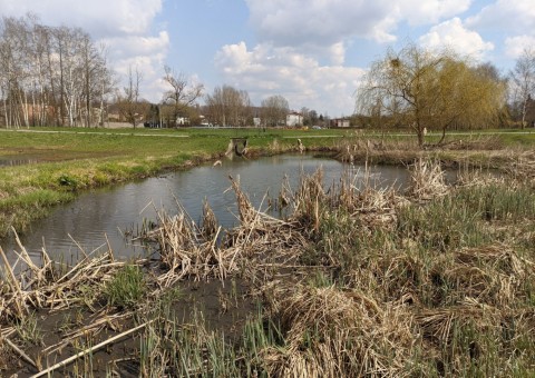 Pobieranie prób wody – Staw Wasiaka, Łódź