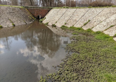 Pobieranie prób wody – Staw Wasiaka, Łódź