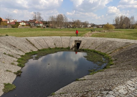 Pobieranie prób wody – Staw Wasiaka, Łódź