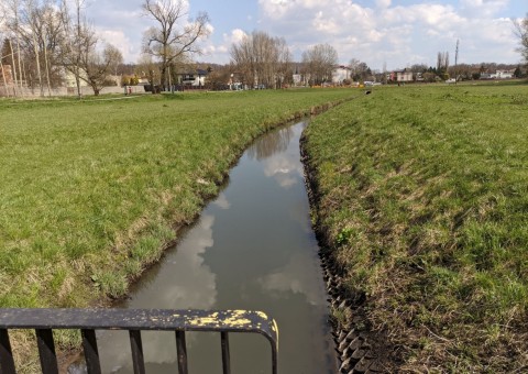 Pobieranie prób wody – Staw Wasiaka, Łódź