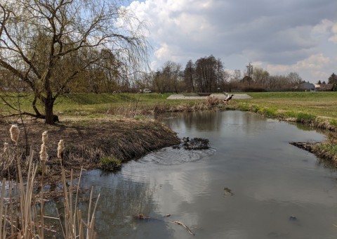 Pobieranie prób wody – Staw Wasiaka, Łódź