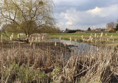 Pobieranie prób wody – Staw Wasiaka, Łódź