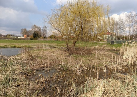 Pobieranie prób wody – Staw Wasiaka, Łódź