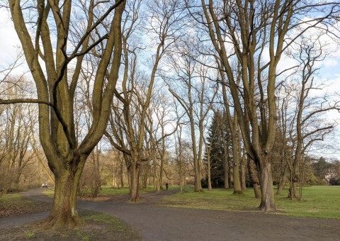 Pobieranie prób wody – Park im. ks. J. Poniatowskiego, Łódź