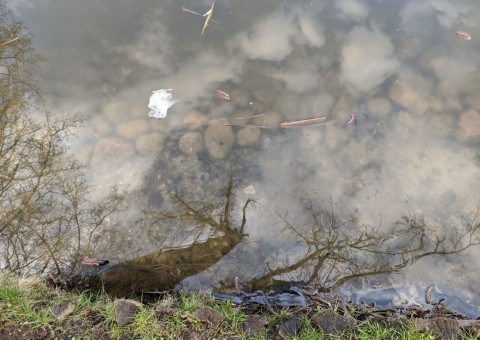 Pobieranie prób wody – Park im. ks. J. Poniatowskiego, Łódź