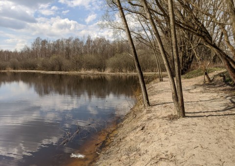 Pobieranie prób wody – Majerowskie Błota, Łódź