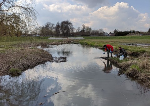 Pobieranie prób wody – Majerowskie Błota, Łódź