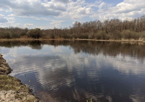 Pobieranie prób wody – Majerowskie Błota, Łódź