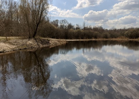 Pobieranie prób wody – Majerowskie Błota, Łódź