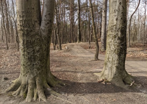 Pobieranie prób wody – Olechów (przy EC4), Łódź