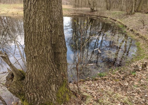 Pobieranie prób wody – Olechów (przy EC4), Łódź