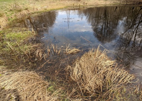 Pobieranie prób wody – Olechów (przy EC4), Łódź