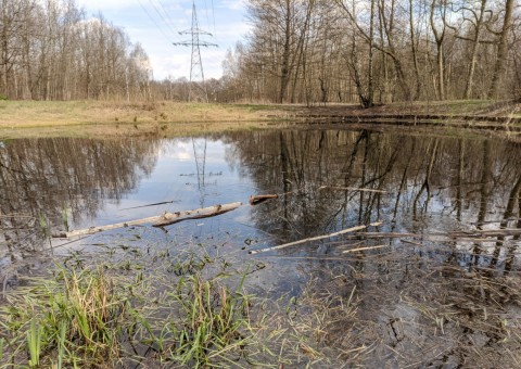 Pobieranie prób wody – Olechów (przy EC4), Łódź