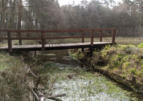 Pobieranie prób wody – okolice Dąbrowy (gm. Dłutów)