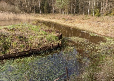 Pobieranie prób wody – okolice Dąbrowy (gm. Dłutów)