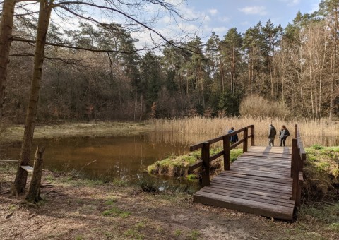 Pobieranie prób wody – okolice Dąbrowy (gm. Dłutów)