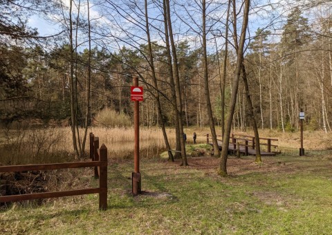 Pobieranie prób wody – okolice Dąbrowy (gm. Dłutów)