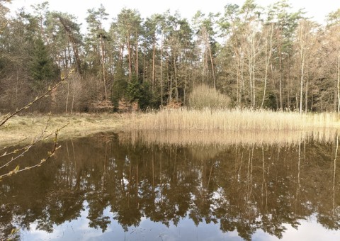 Pobieranie prób wody – okolice Dąbrowy (gm. Dłutów)