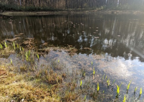 Pobieranie prób wody – okolice Chechła (gm. Dobroń)