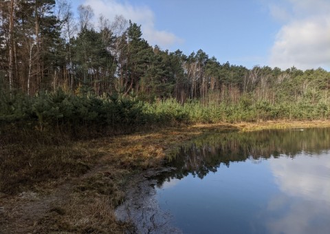 Pobieranie prób wody – okolice Chechła (gm. Dobroń)