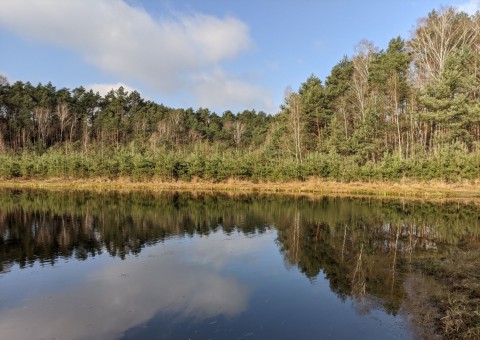 Pobieranie prób wody – okolice Chechła (gm. Dobroń)