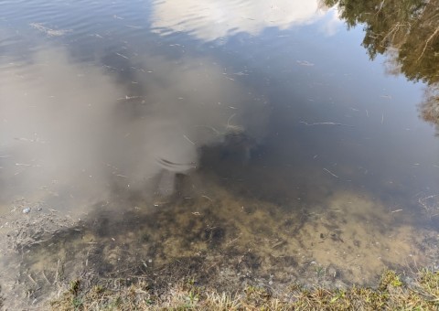 Pobieranie prób wody – okolice Chechła (gm. Dobroń)