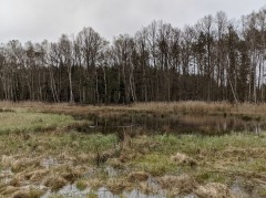 okolice Wiśniowej Góry (gm. Andrespol) – pobór prób wody